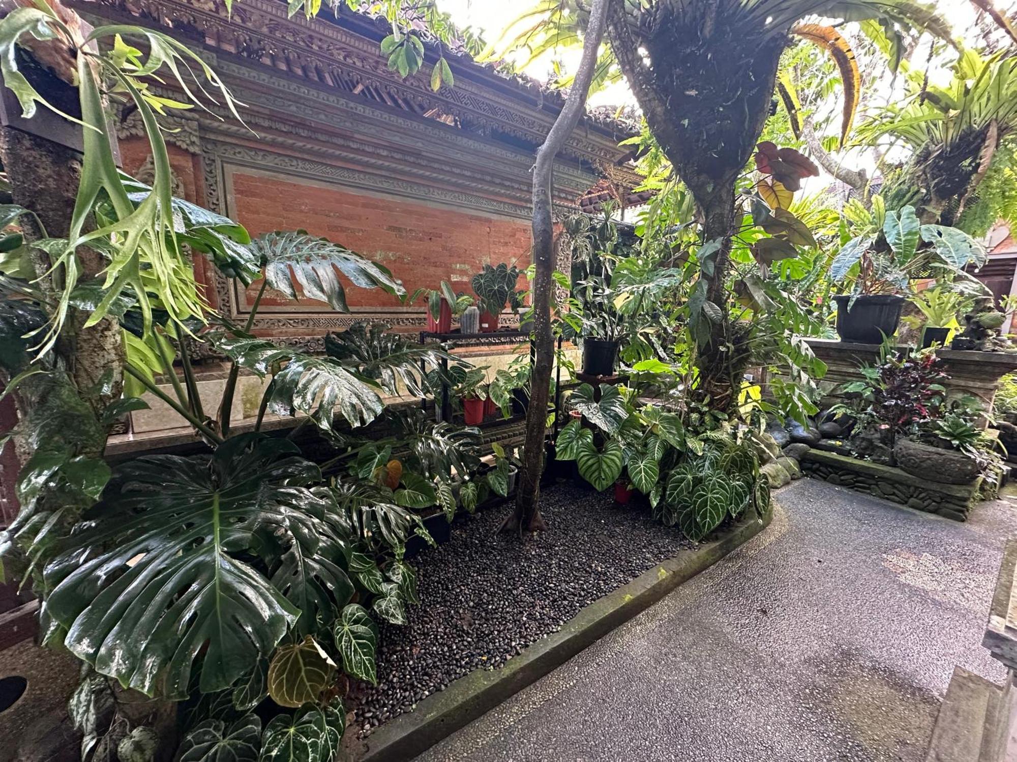 Naeera Guest House Ubud  Exterior photo